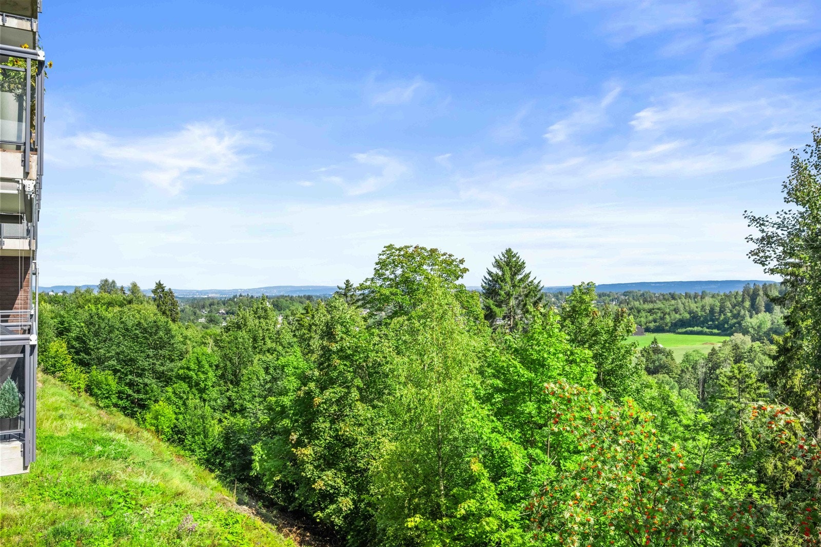Utsyn mot nærområde Galleribilde