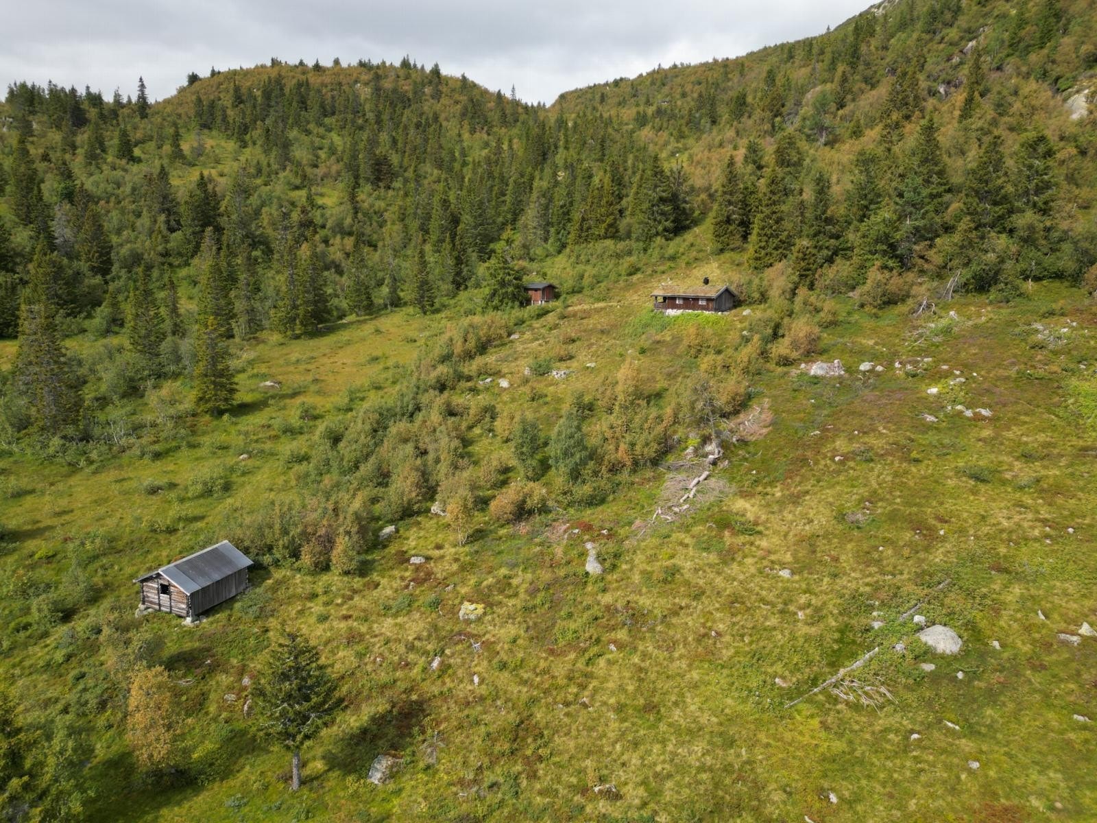 Støylen Rebbisbakke Galleribilde