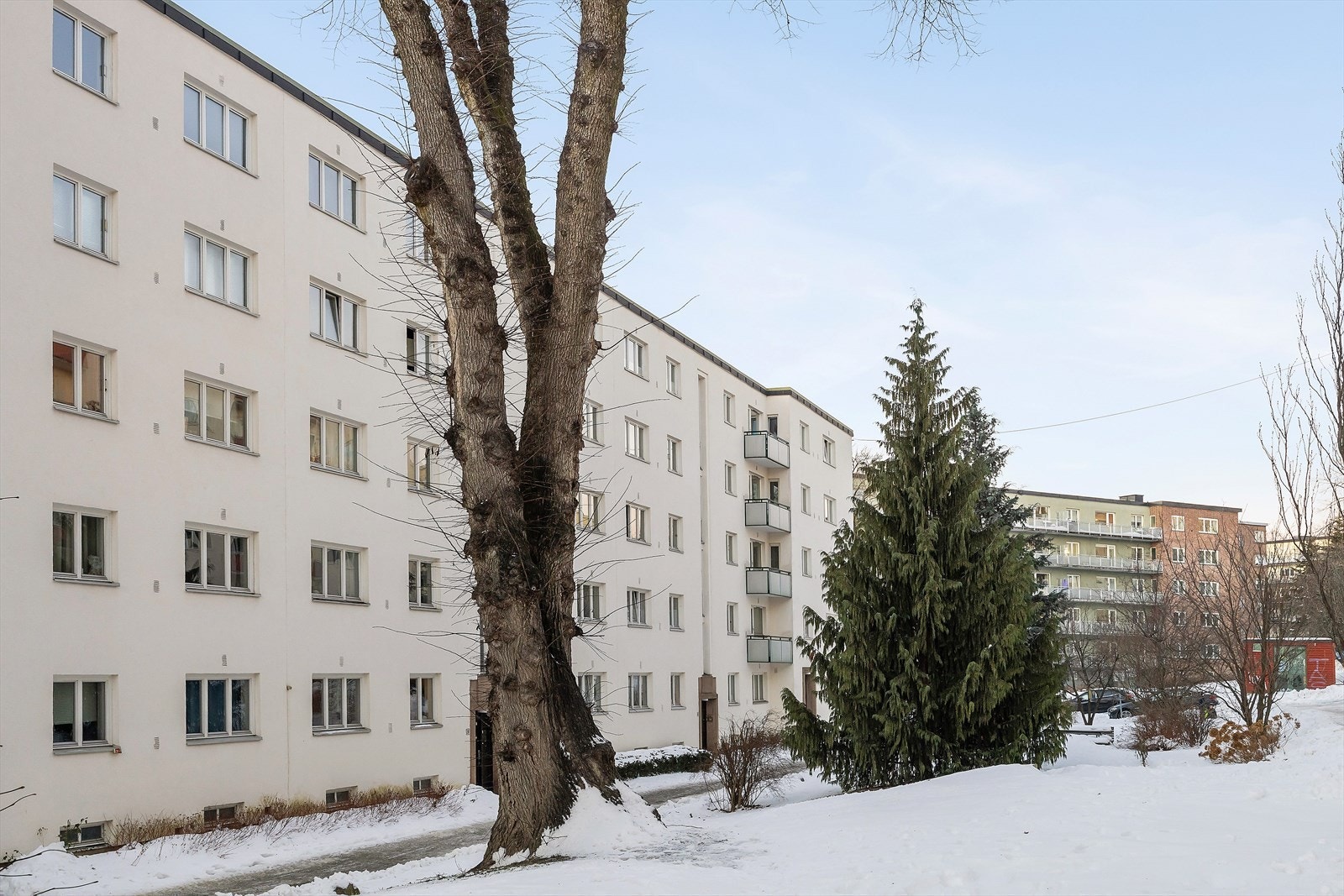 Velkommen til hyggelig visning! Galleribilde