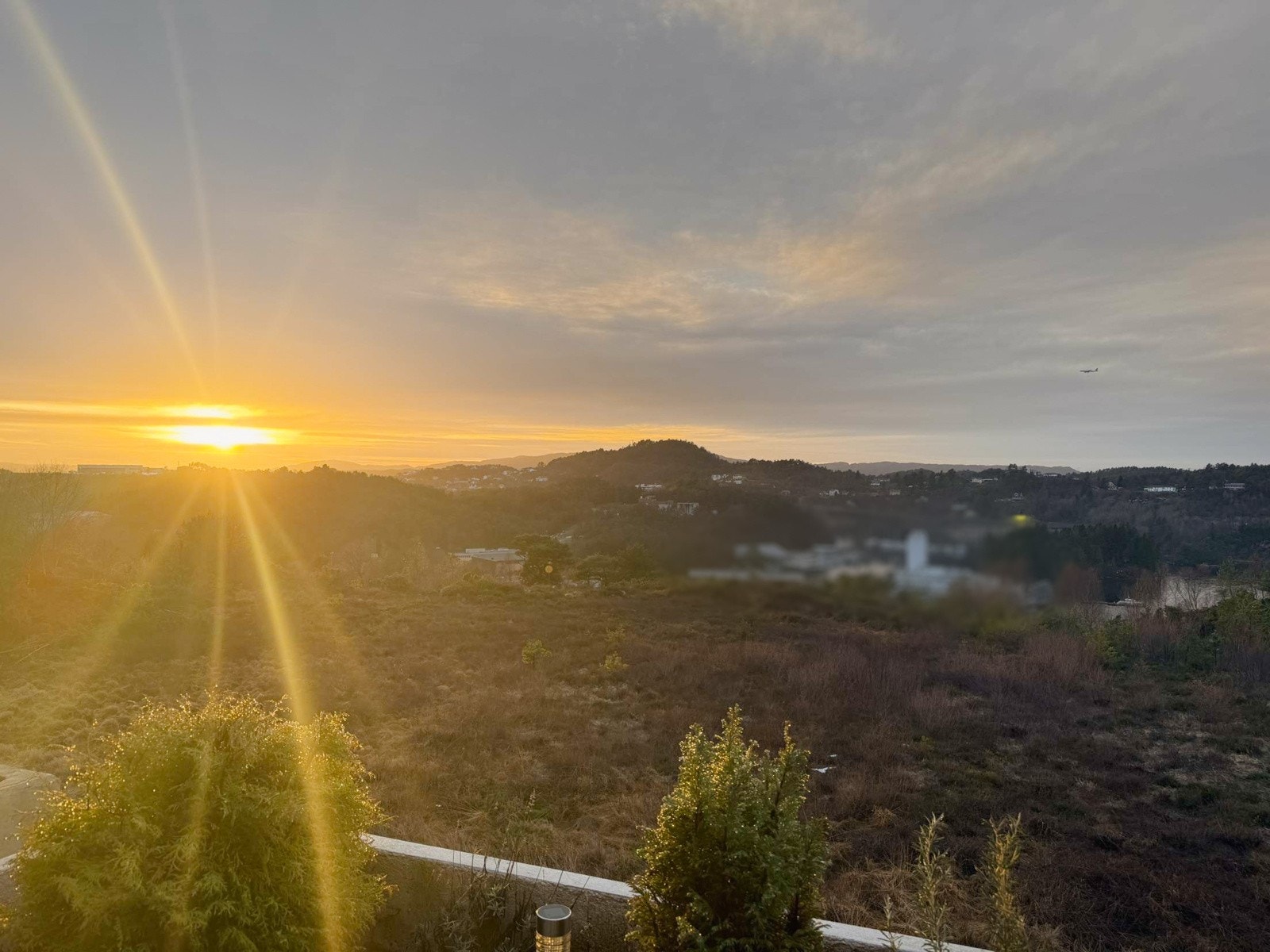 Sjekk denne utsikten! Galleribilde