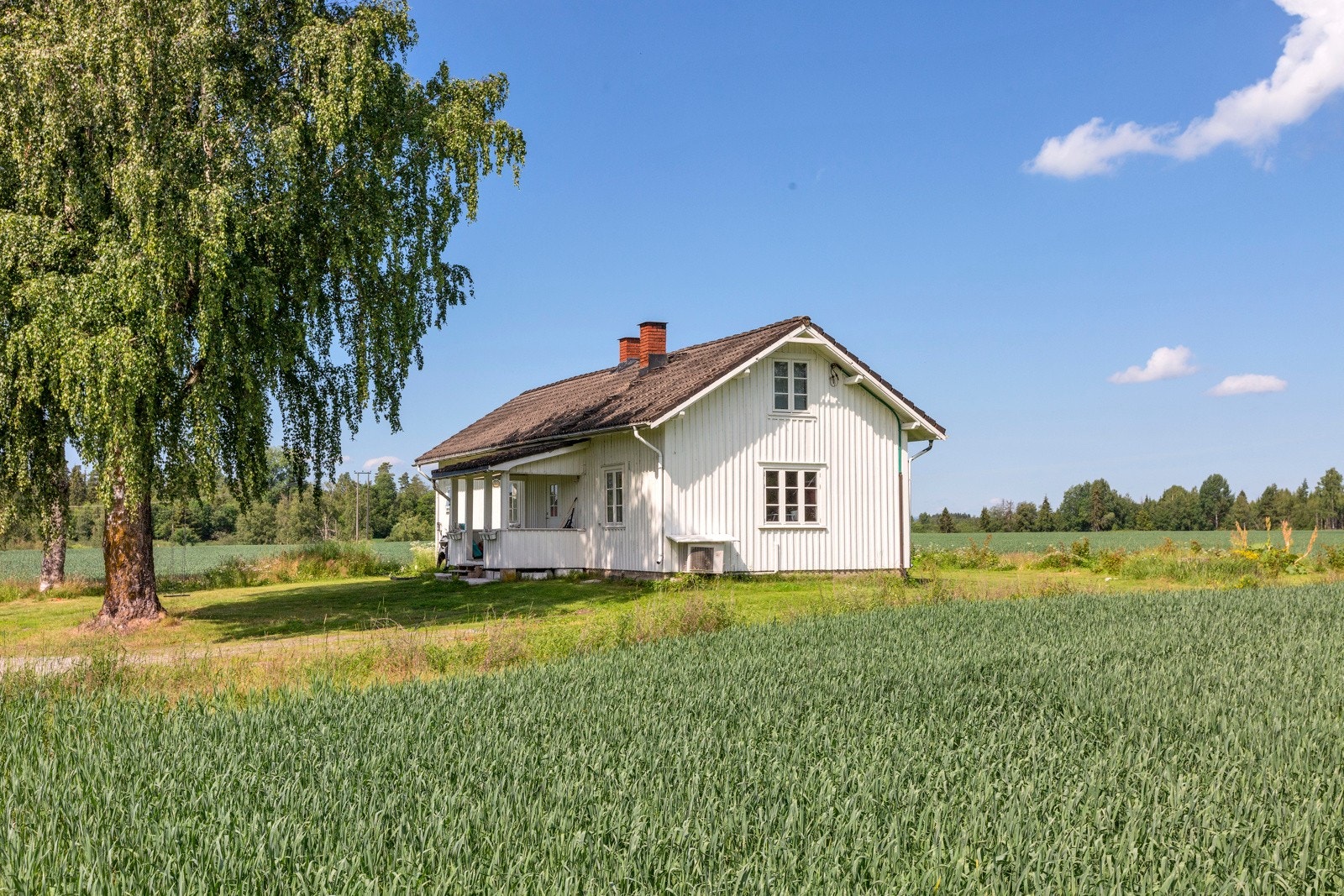 Agronomboligen ligger for seg selv uten sjenanse for beboerne på Rød Galleribilde