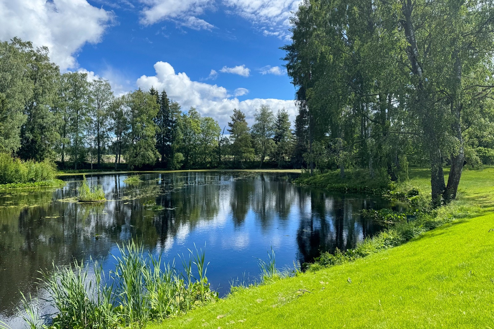 Gårdsdammen ligger øst for hovedbygningen Galleribilde