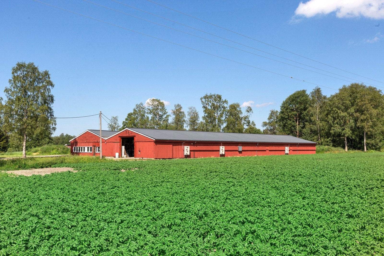 Kyllinghus Galleribilde