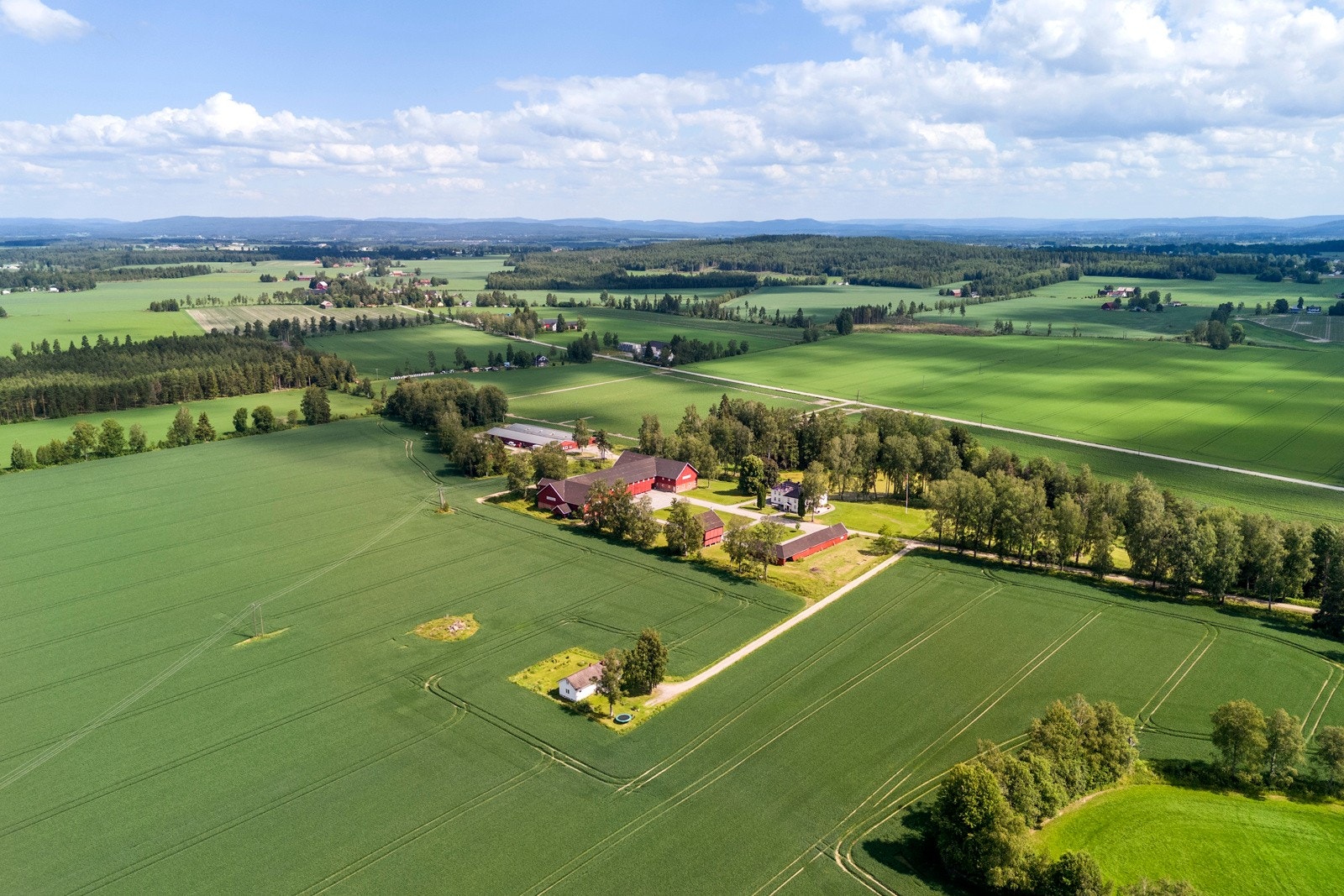 Gården ligger midt i Norges kornkammer Galleribilde