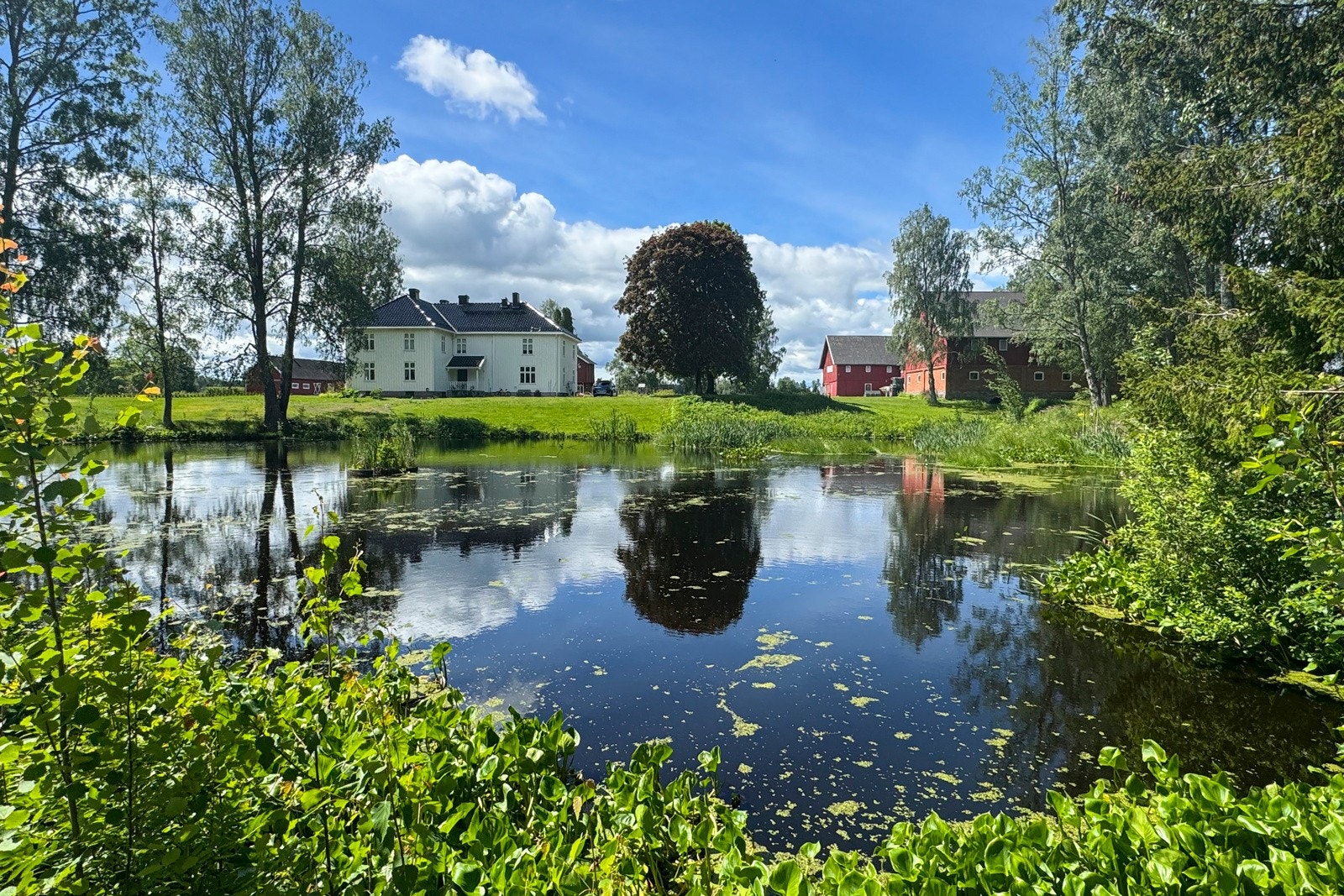 Gårdsdam Galleribilde