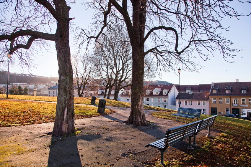 Vålerenga Park rett ovenfor leiligheten! Galleribilde