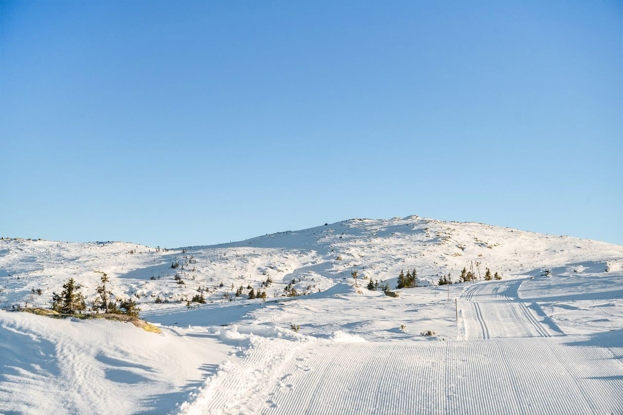 Bred skistrase i nydelig terreng, preparert for fristil og klassisk Galleribilde