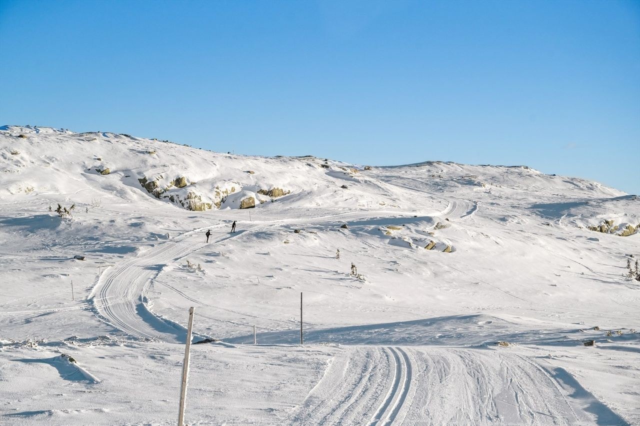 Stort og variert løypenett i skog og i høyfjellet Galleribilde