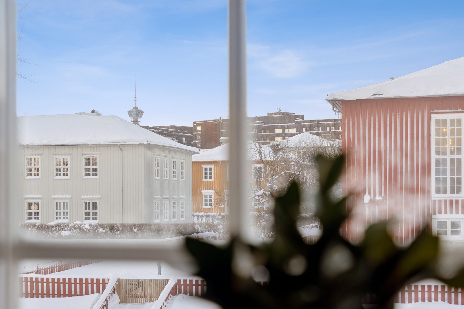 Velkommen til hyggelig visning! Galleribilde