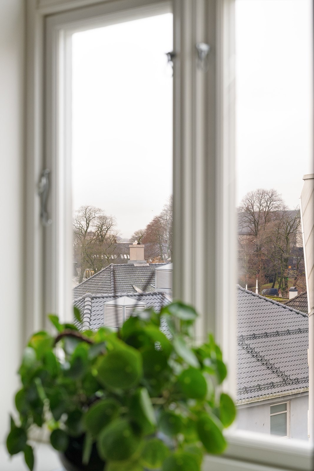 Utsikt til Domkirken og Breiavatnet. Galleribilde