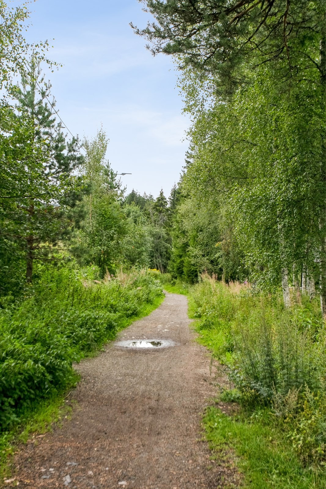 Umiddelbar nærhet til marka med lysløype og turmuligheter Galleribilde