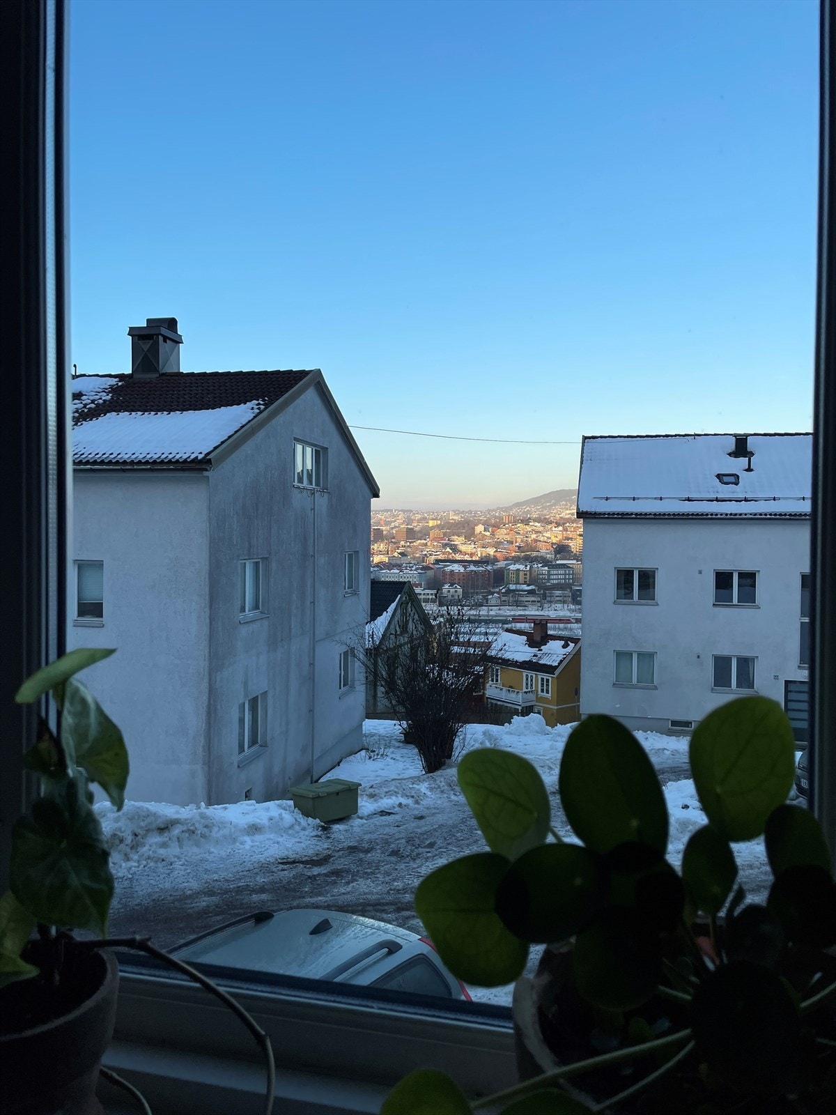Selgers bilde - Se på den flotte utsikten fra vinduet! Galleribilde