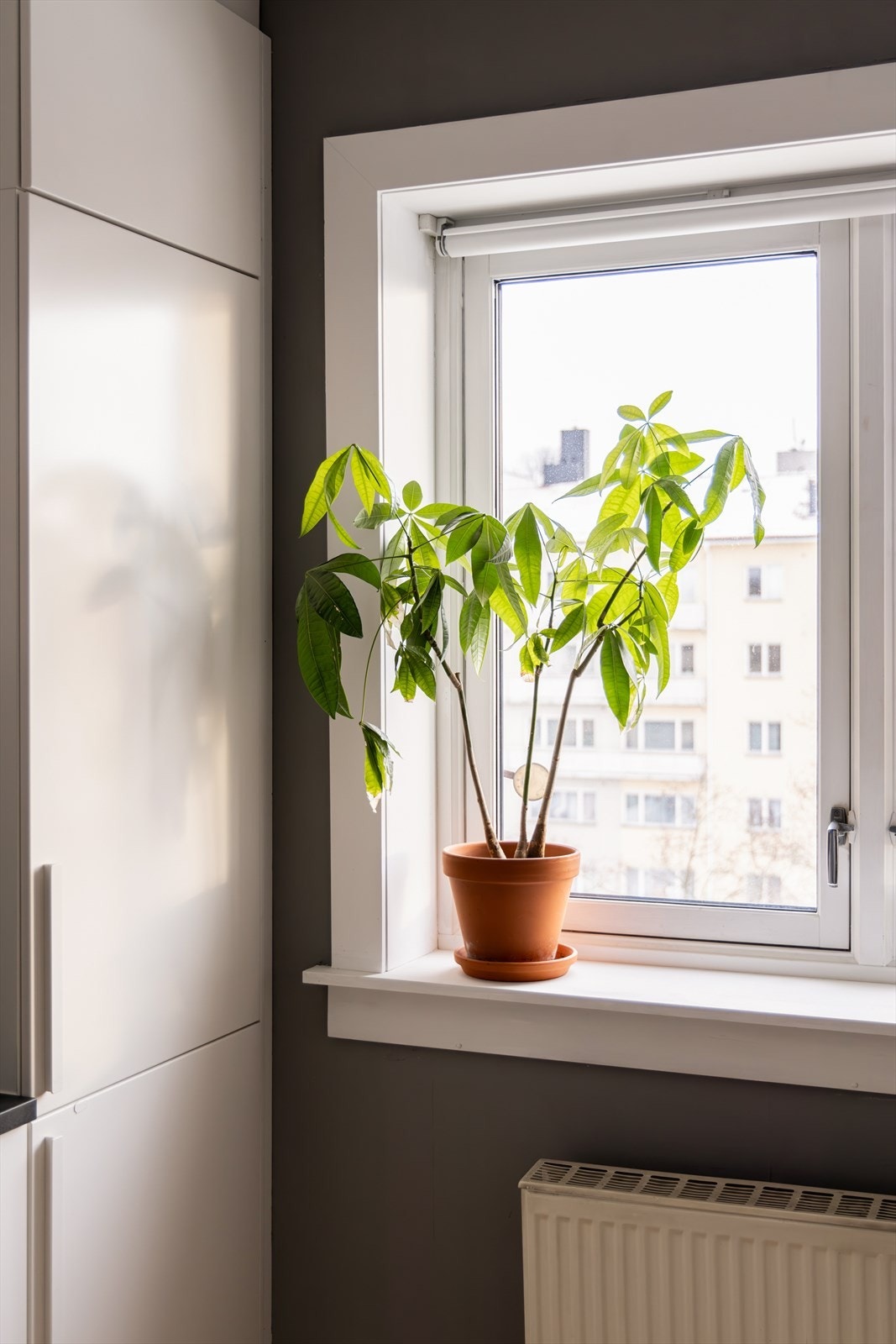 Det er flere i borettslaget som har gjort om tilsvarende leilighet til 3-roms ved å flytte kjøkken ut i stue. Interessenter bes om å undersøke med fagkyndig og styreleder om kjøkken kan flyttes, dersom endring av planløsning er avgjørende for kjøp Galleribilde