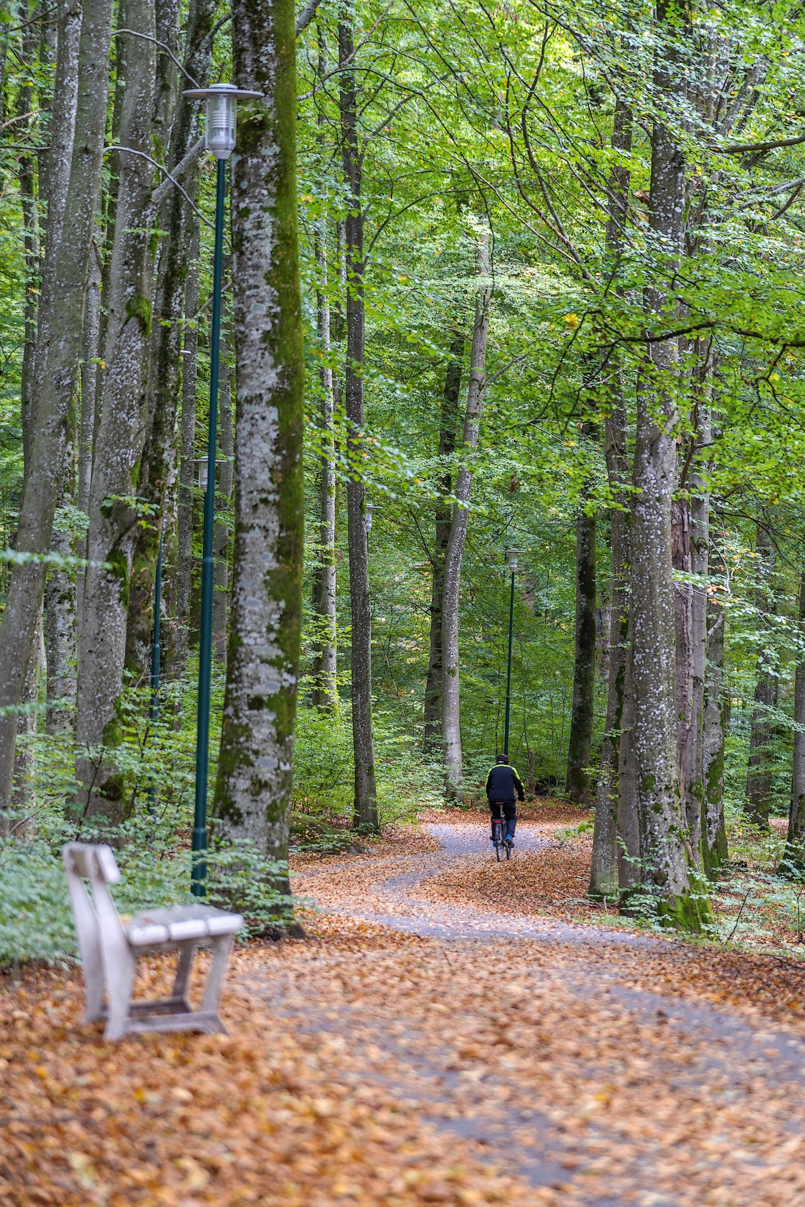 Bokmoa har flotte turstier Galleribilde