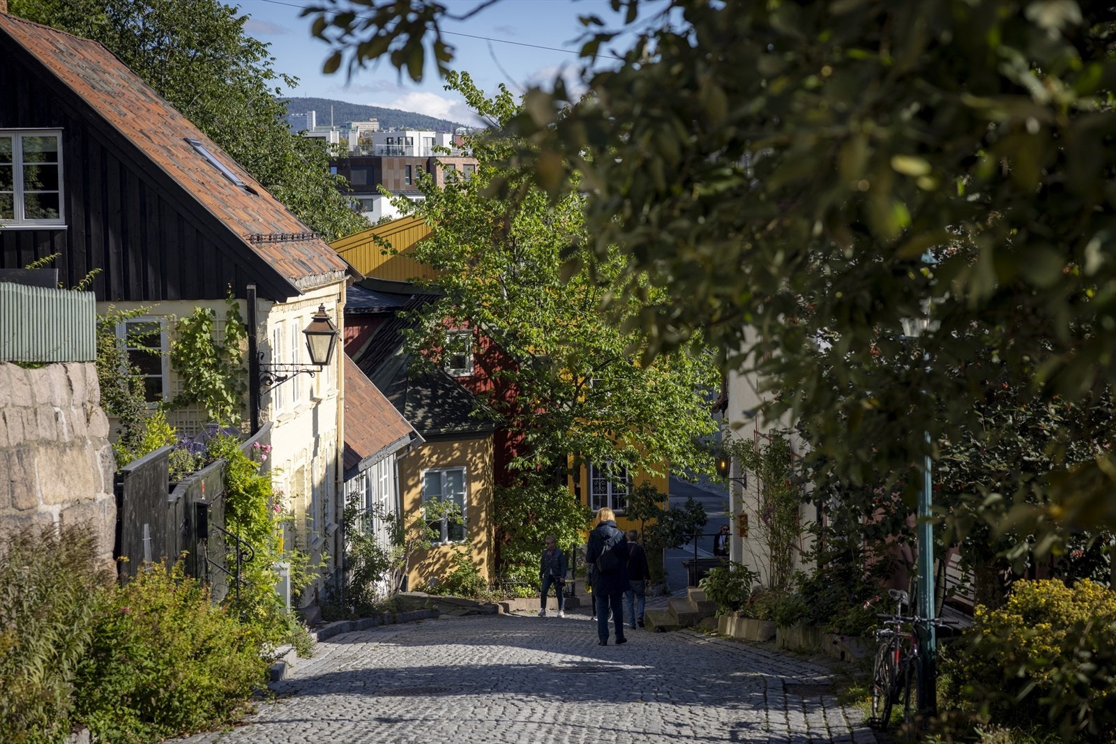 Sjarmerende Damstredet ligger rett i nærheten. Galleribilde