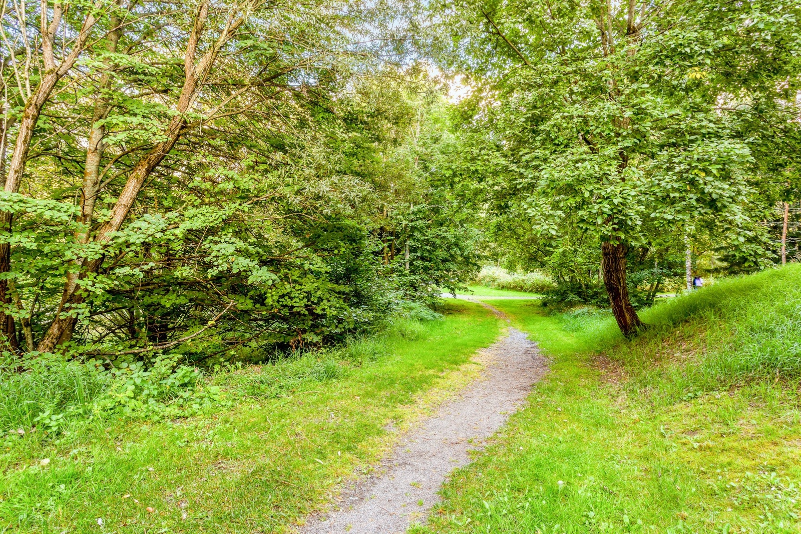 Området byr med mye skog og mark med flere fine turstier og rekreasjonsmuligheter Galleribilde