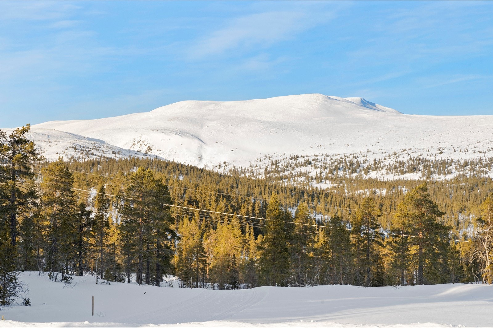 Området er et natureldorado for den friluftsinteresserte, det er flotte langrennsløyper som er koblet sammen til ett stort lypenett på Norefjell Galleribilde