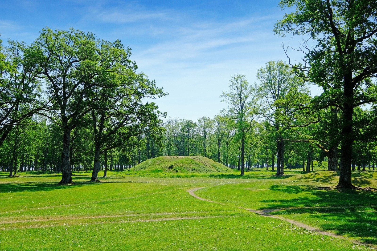 Kort tur unna den fantastiske borreparken Galleribilde