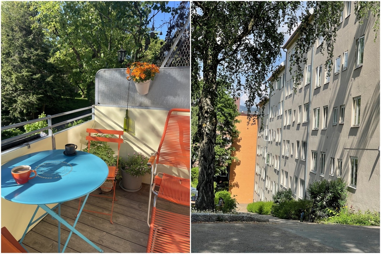 Sommeren 2024 i Akersbakken 11. Galleribilde