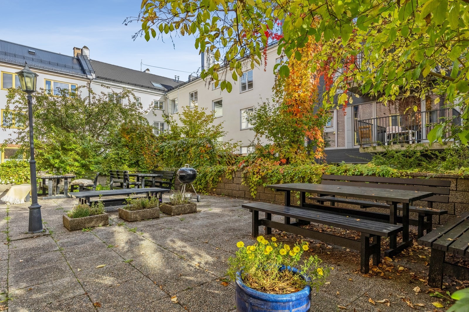 Bakgård Galleribilde