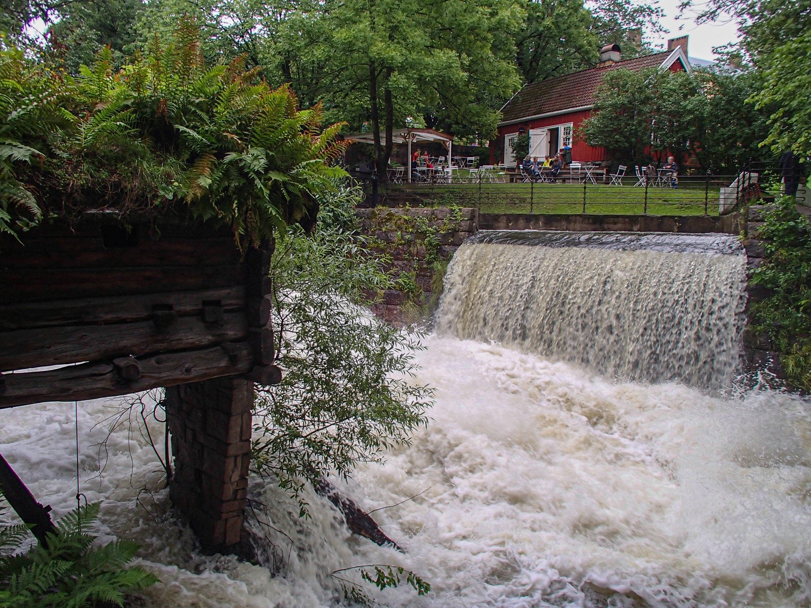 Hønse-Lovisas hus Galleribilde