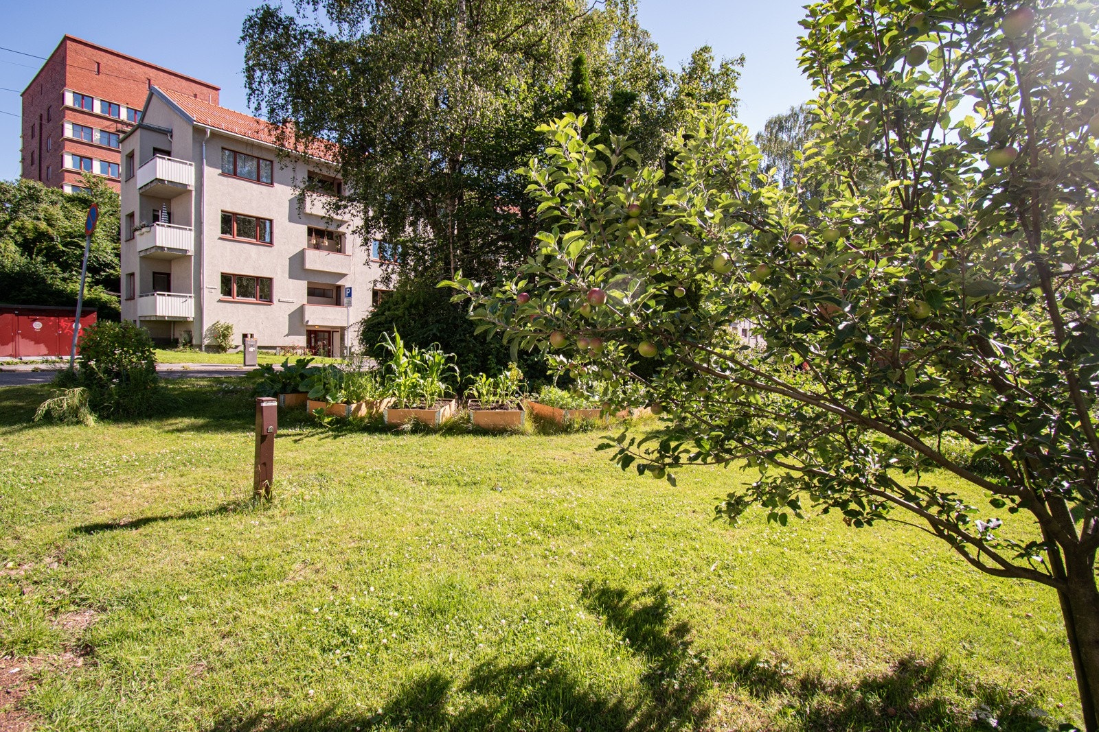 Mellom parkeringsplassen og blokka Galleribilde