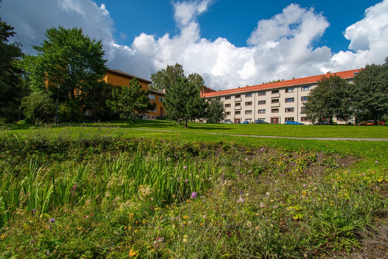 Det ble plantet 38 frukttrær i Iladalen 2021 Galleribilde