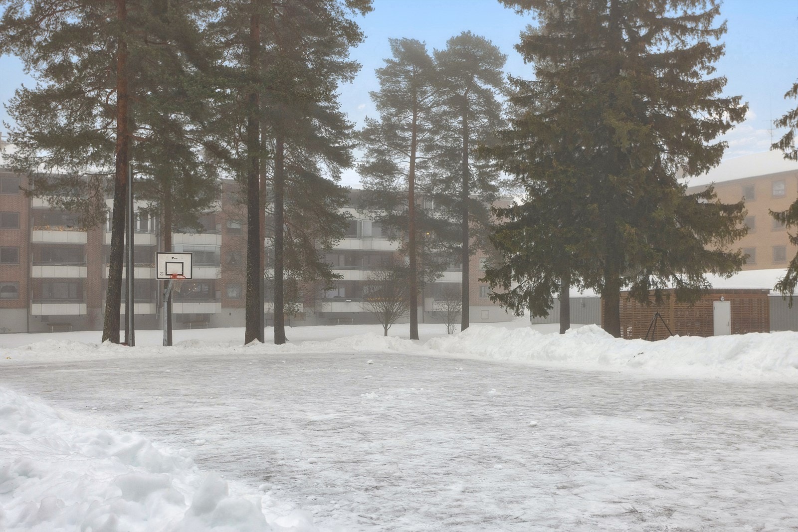 Fellestomten er pent opparbeidet med plen og prydbusker. På sørsiden av blokka er det grøntareal med lekeplass, ballplass og større trær. Det er gode solforhold og lokal utsikt mot grøntområdene. Området er barnevennlig i vei med lite trafikk. Galleribilde