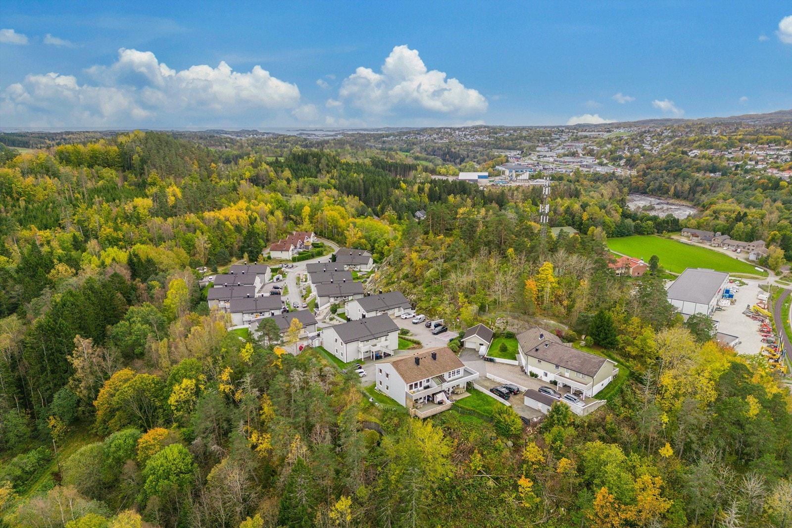 Område Galleribilde