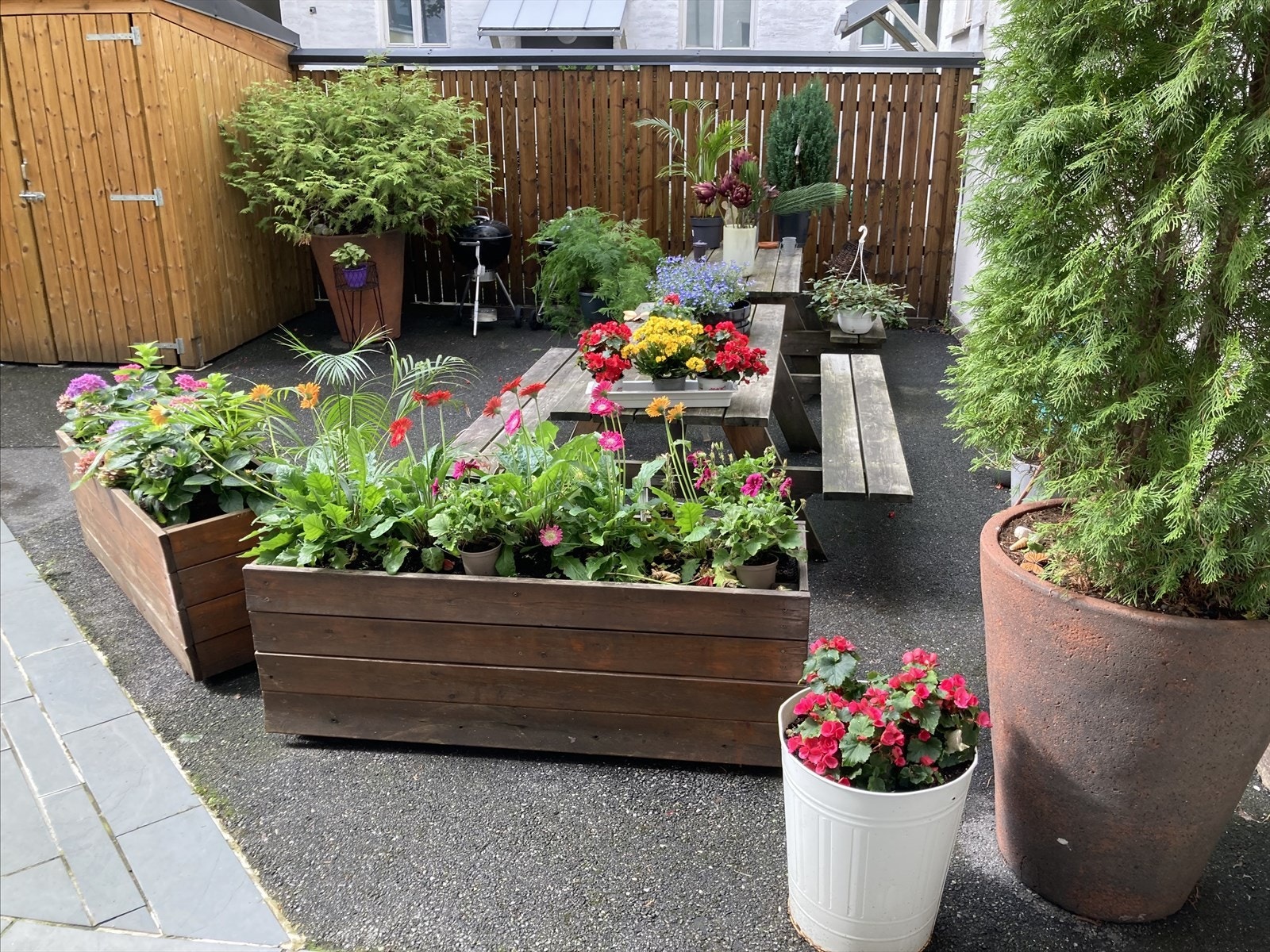 Hyggelig bakgård! Galleribilde