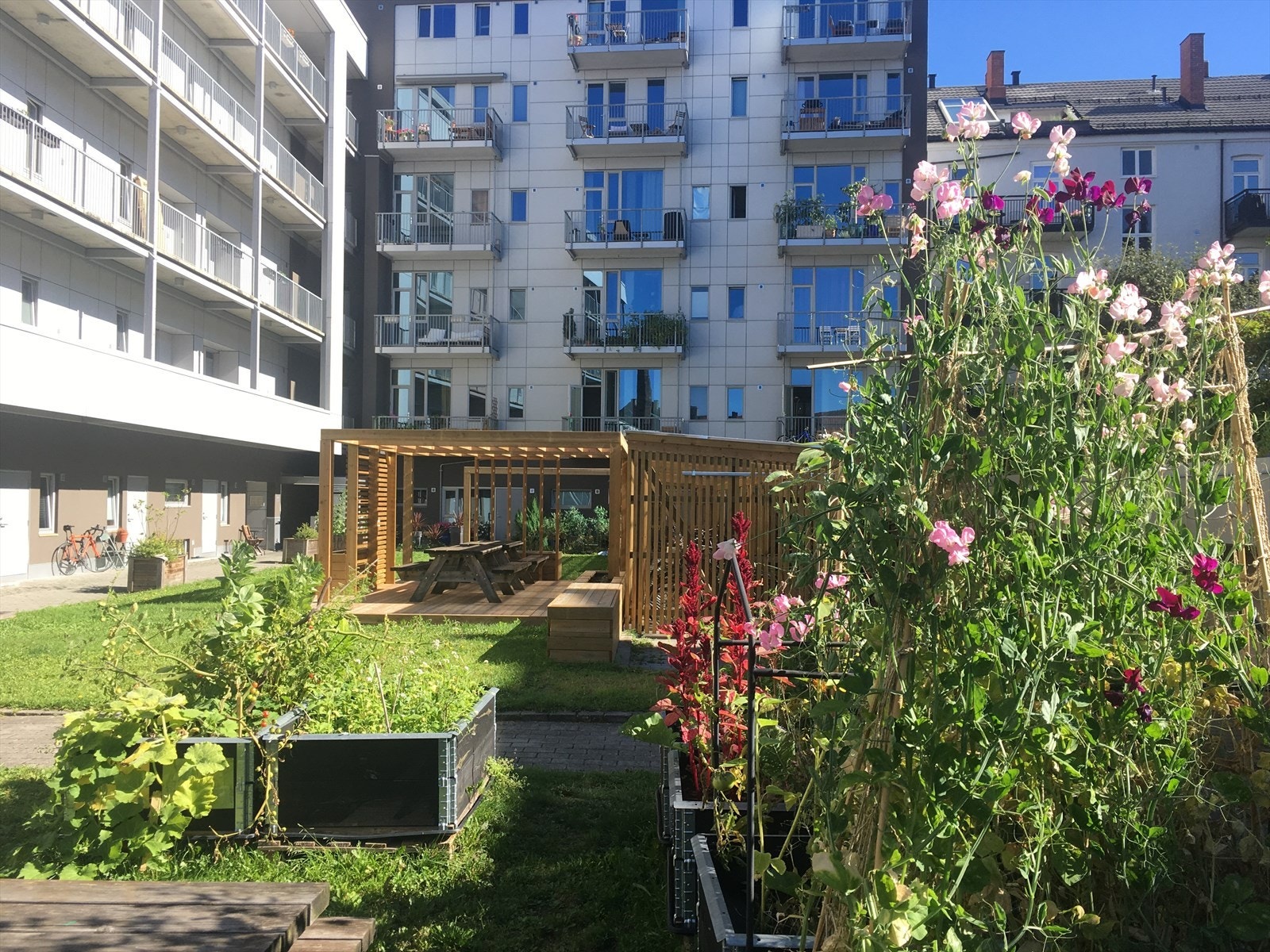 Bakgården er solrik og pent beplantet. Galleribilde