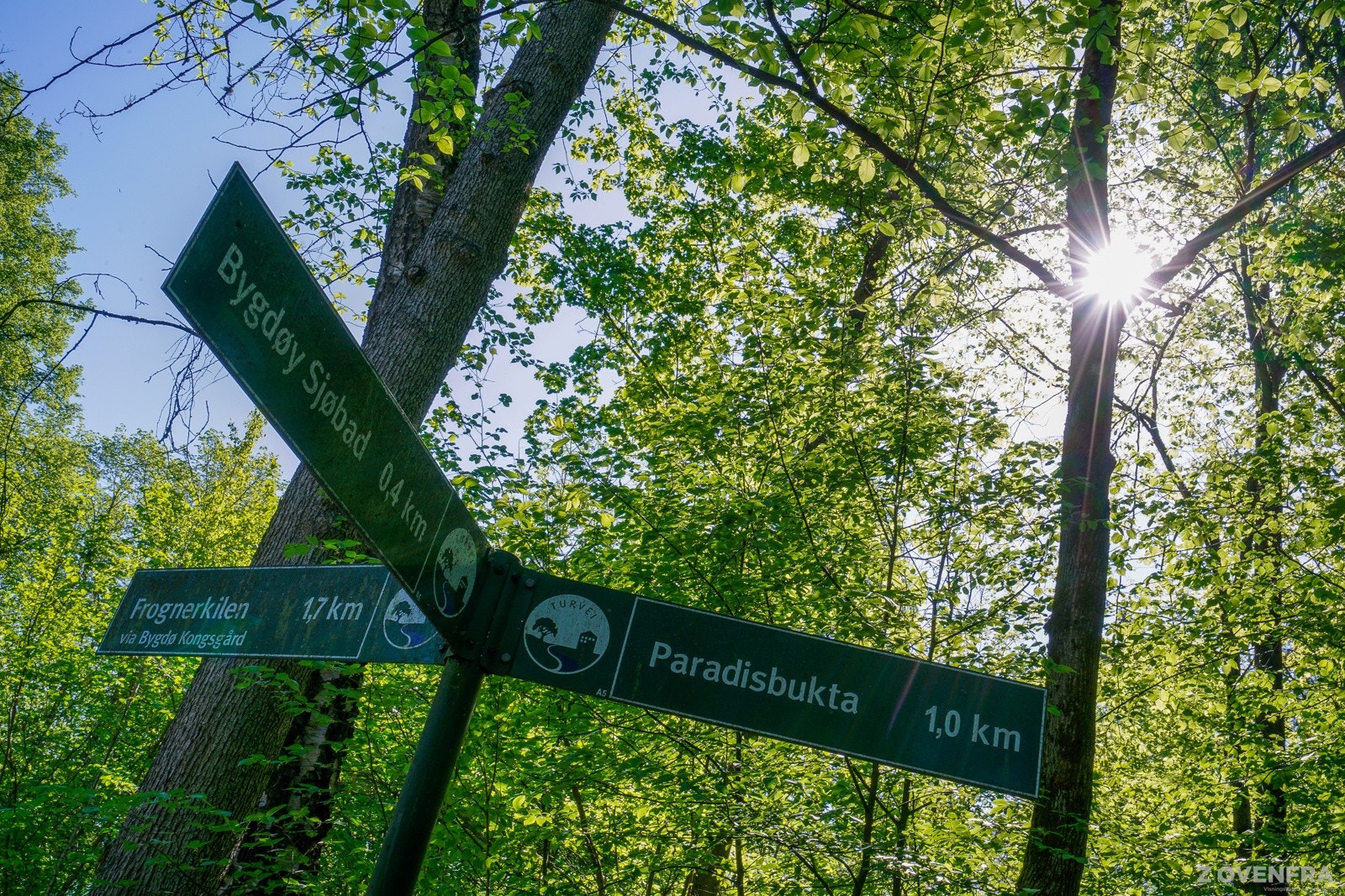 Ikke langt fra boligen ligger Frodige og fasjonable Bygdøy. Galleribilde