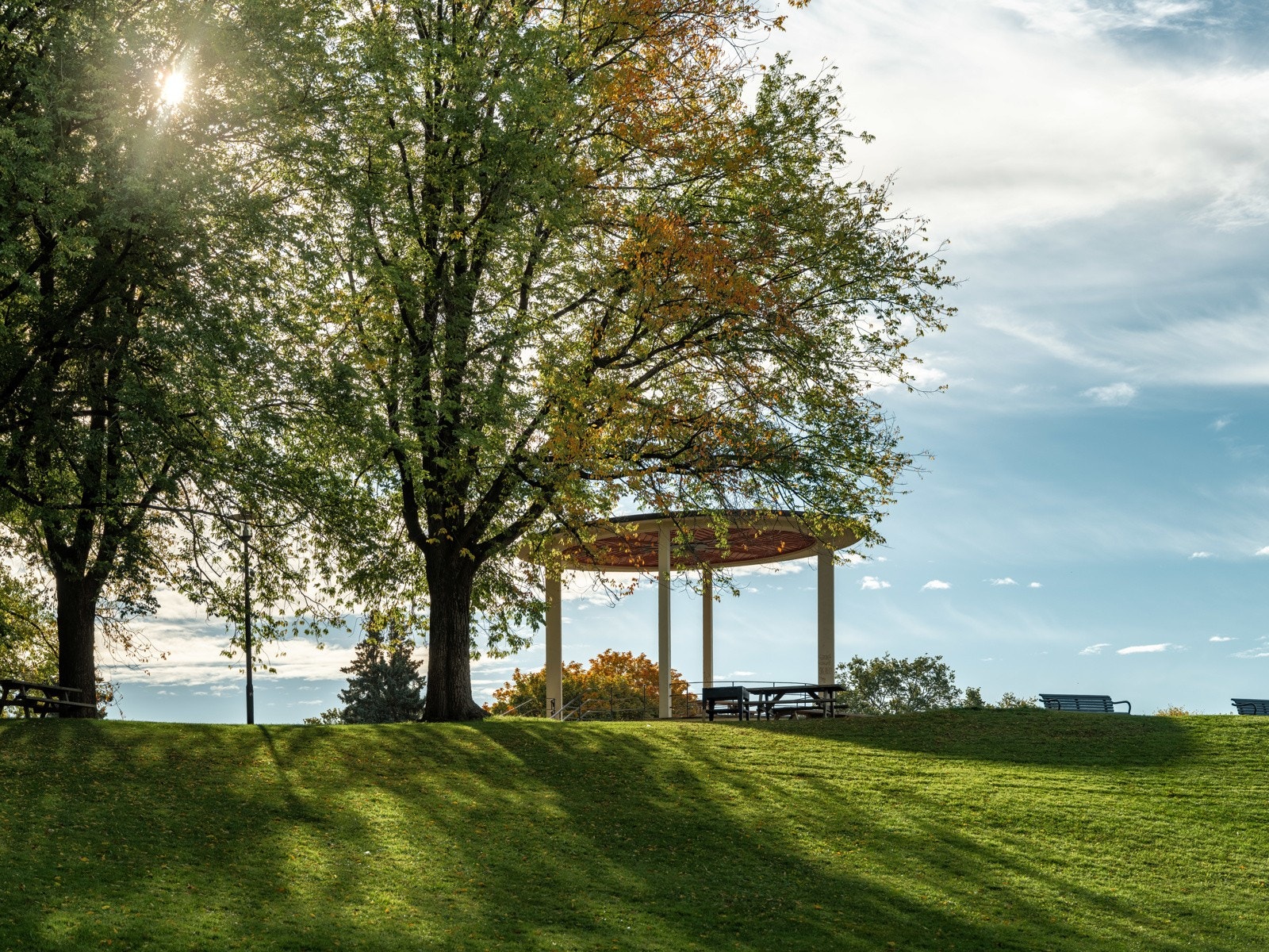 Torshovparken er også rett ved. Her er det egen hundepark. Galleribilde