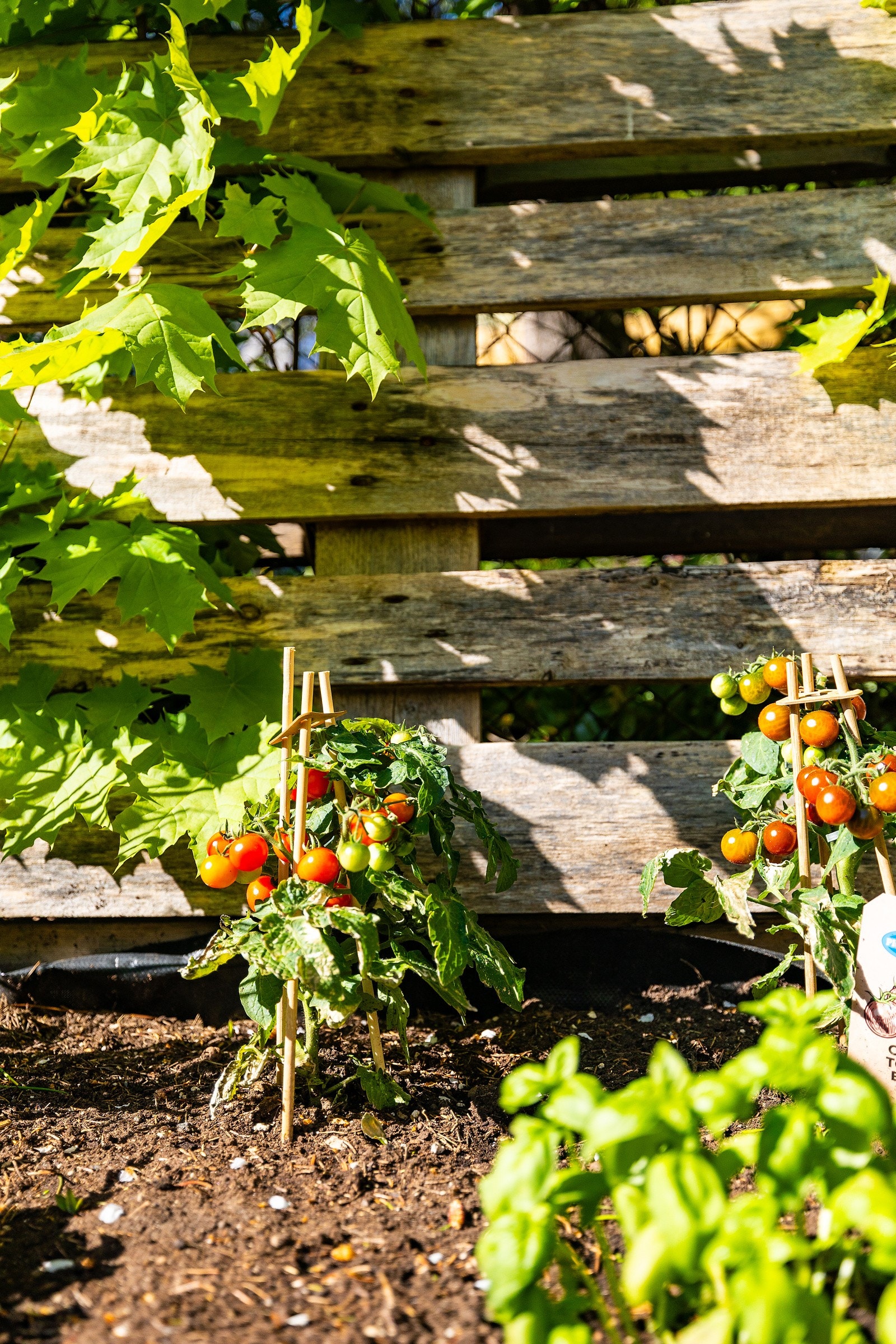Svært attraktiv og populær beliggenhet på Grünerløkka, med nærhet til alt av kulturelle begivenheter, parker og utesteder. Galleribilde