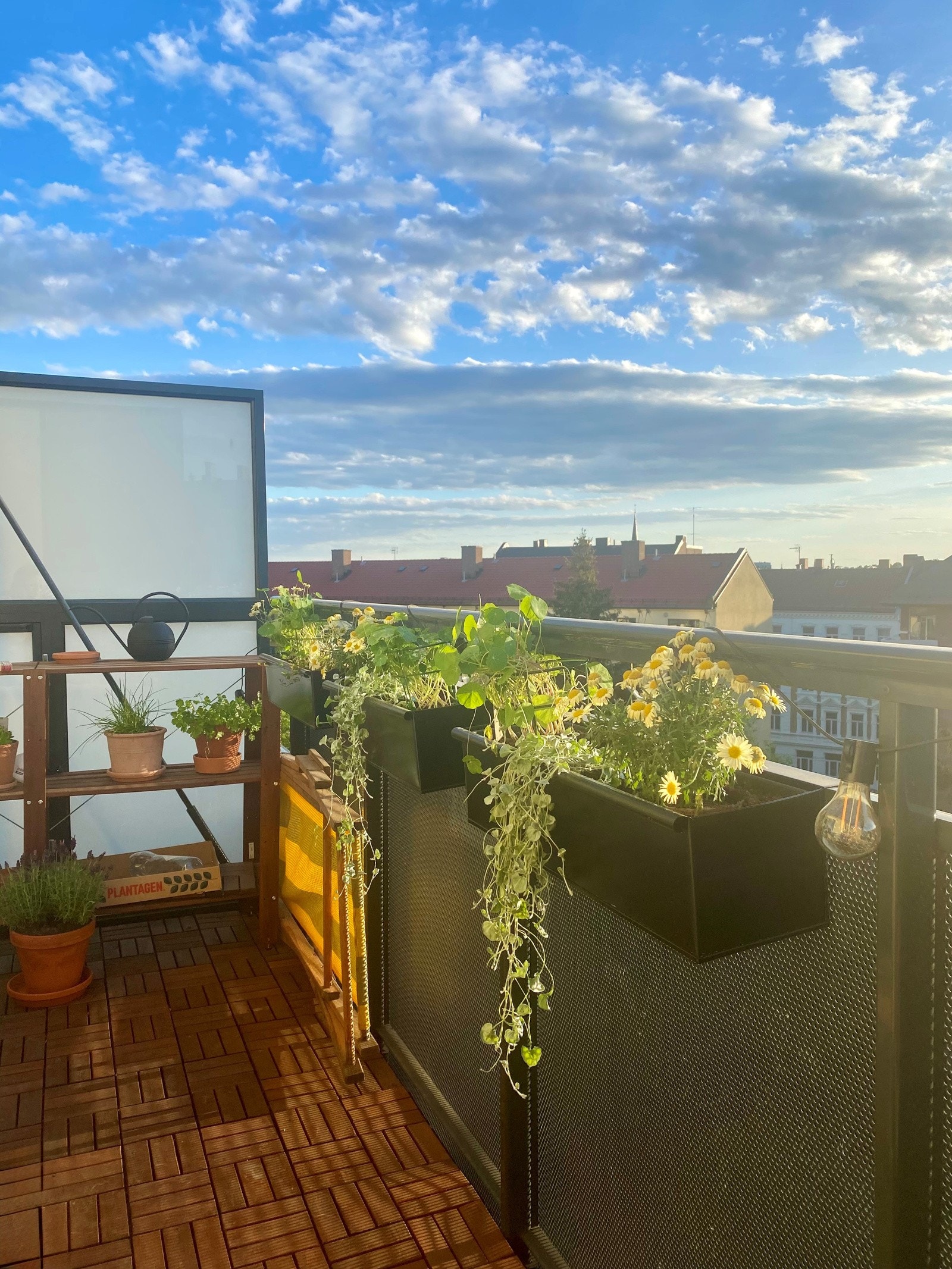 Balkongen på sommerstid. Galleribilde