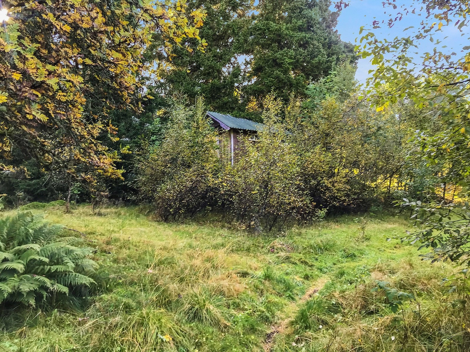 Eigedomen er også utbygd med ein eldre gardsfjøs som er i dårleg stand. Galleribilde