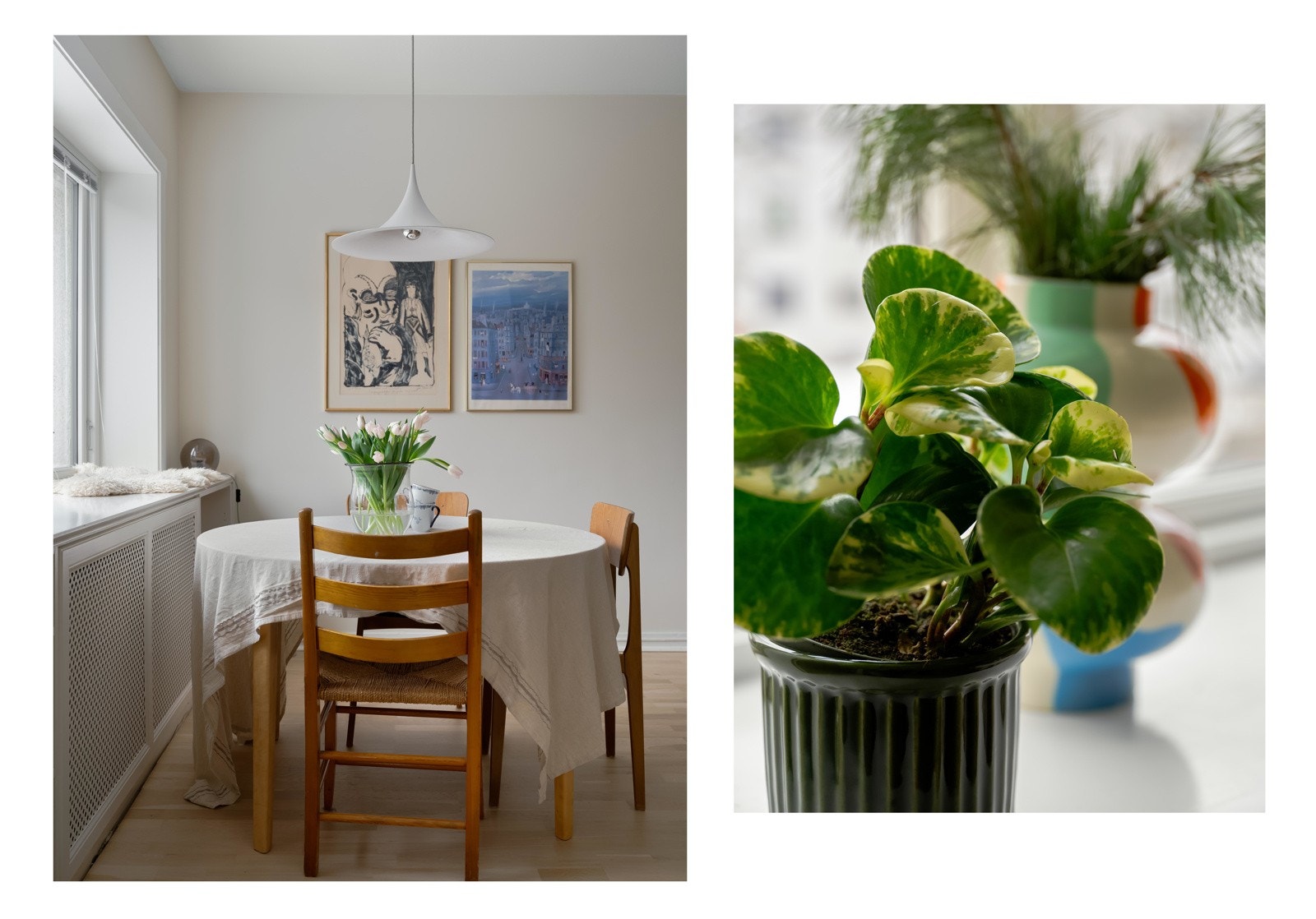 Sees vi? Galleribilde