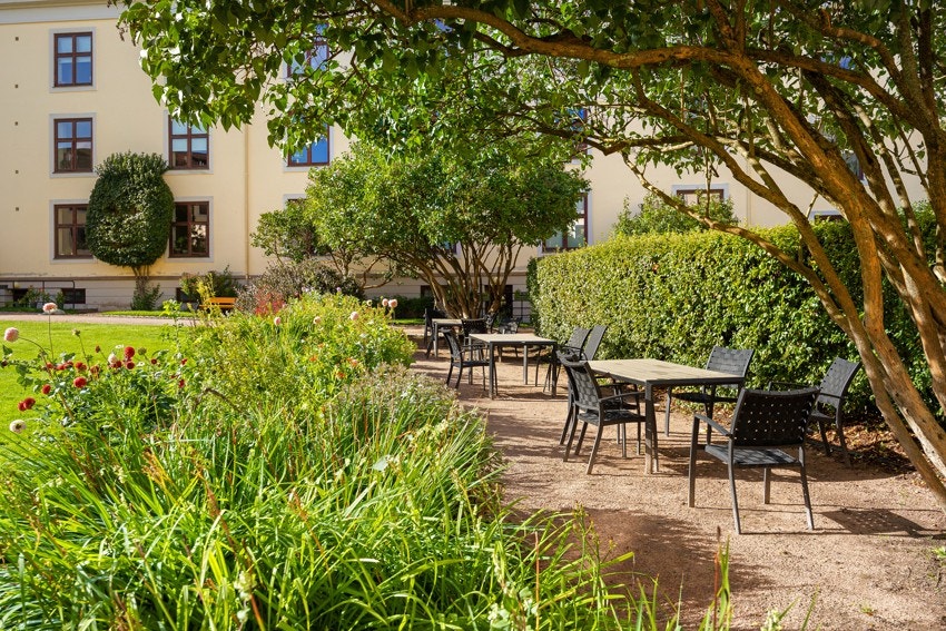 Sommerbilder fra bakgård Galleribilde