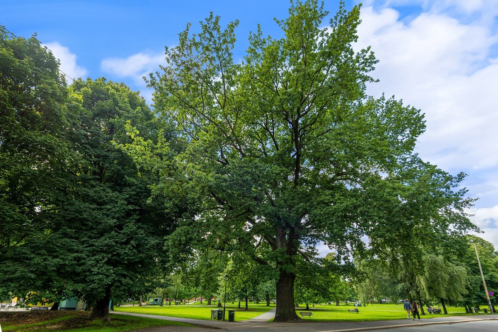 Sofienbergparken ligger kun 5 minutter unna boligen Galleribilde