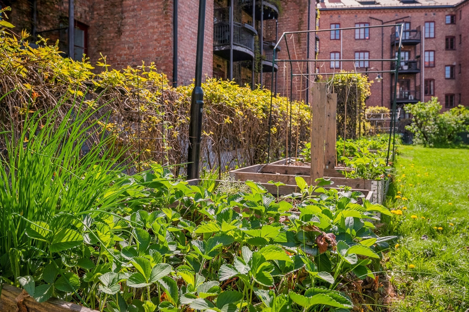 i bakgården kan man kan disponere sin egen lille pallekarm. Gråbeinkvartalet ligger svært sentralt til, vis a vis det sydvestlige hjørnet av Botanisk hage. Galleribilde