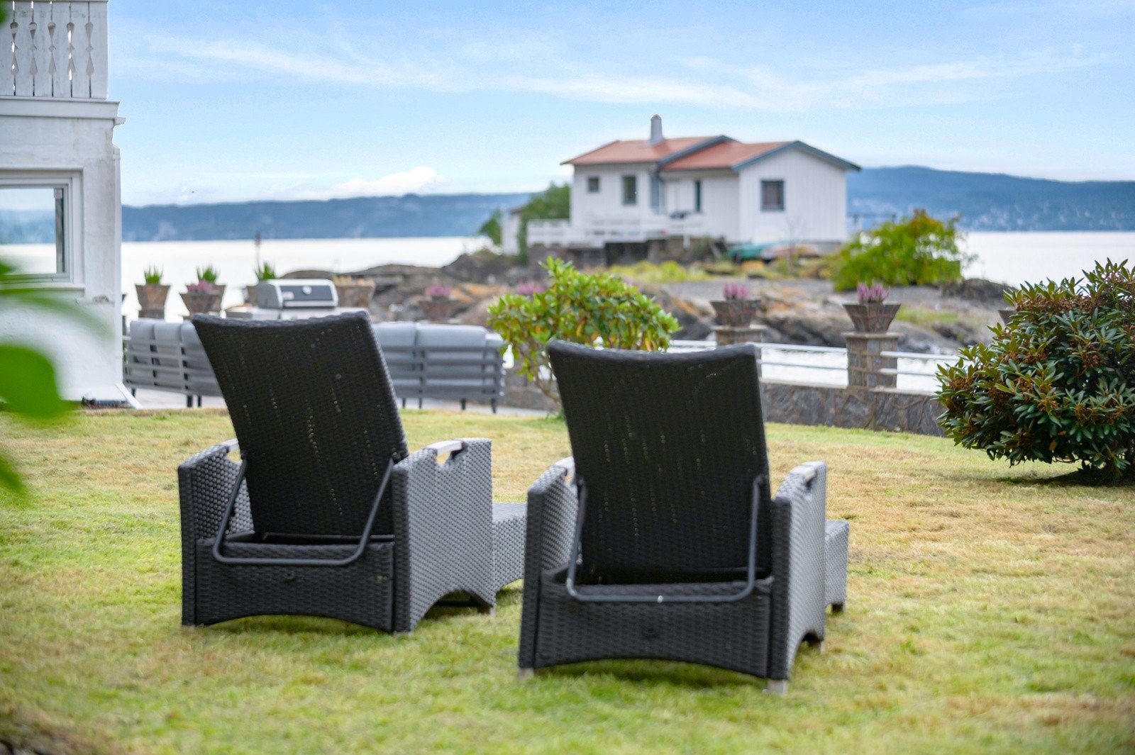 Hage med plen. Galleribilde