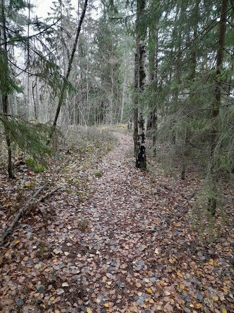 Fra boligen er det en sti på 200-300 meter til hull 13 på Oppegård Golfbane Galleribilde