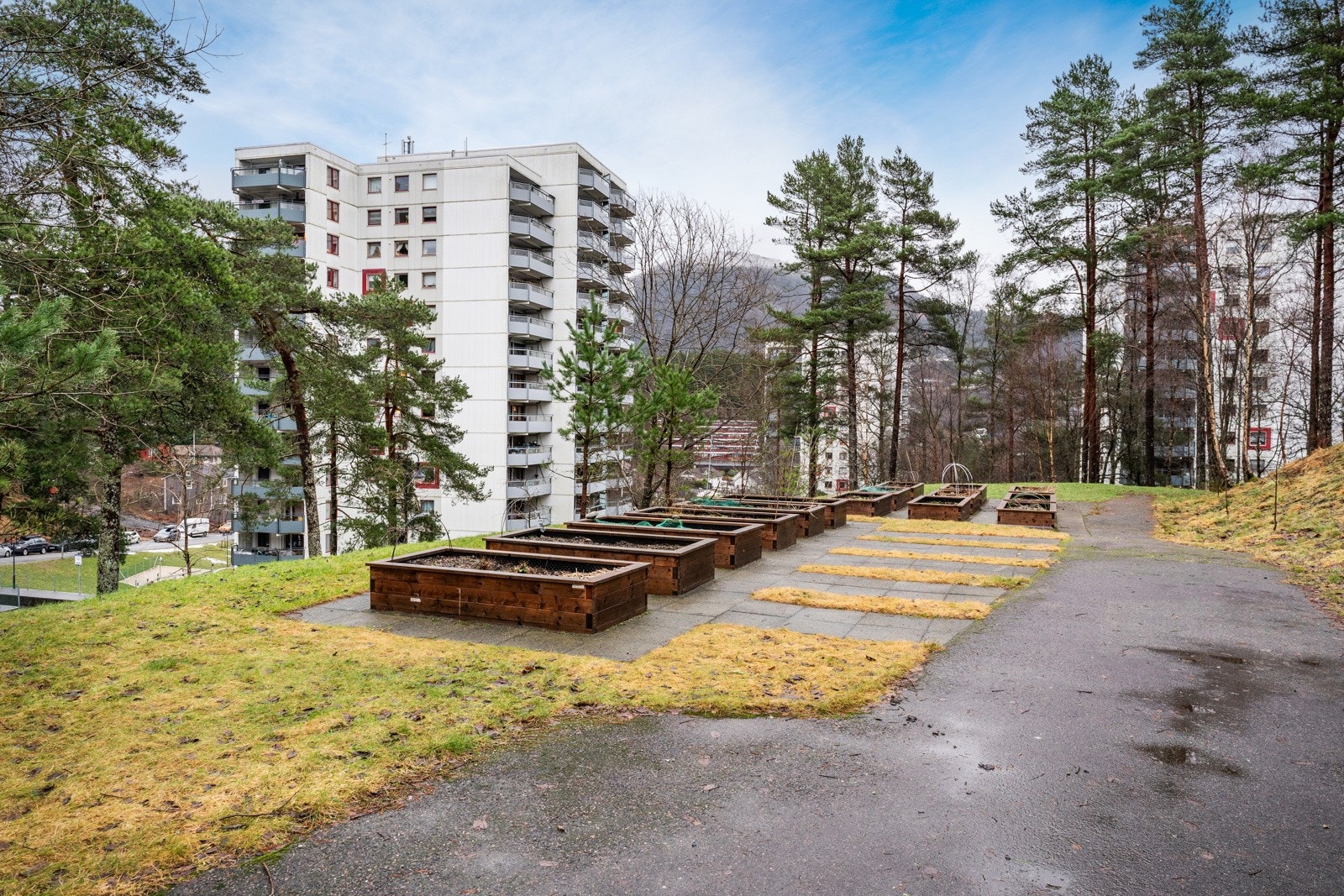 - Løvåsen borettslag består totalt av fem høyblokker som rommer 262 leiligheter - Galleribilde