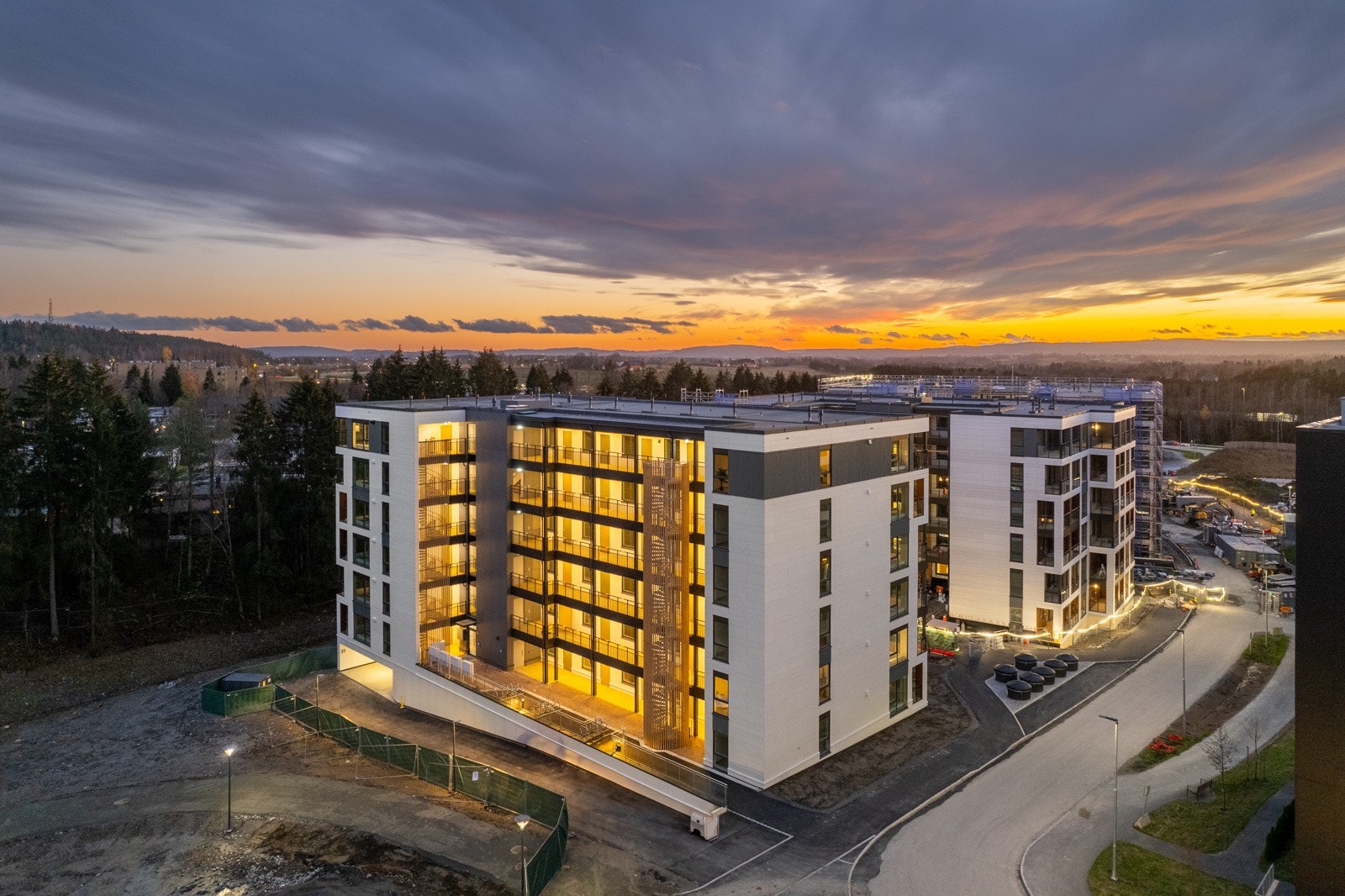 Kveldsstemning i Vestskogen Galleribilde