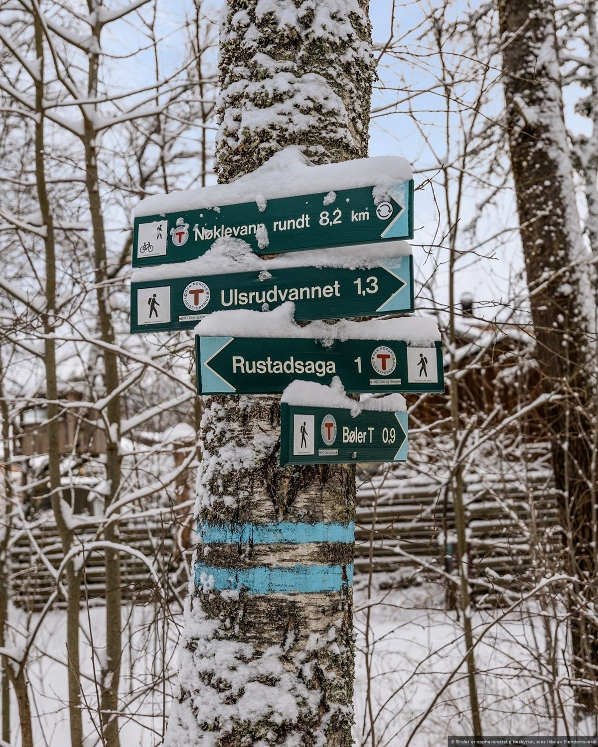 Østmarka med sine endeløse skoger og mange turstier, gjør dette til et populært turmål for Oslos innbyggere. Vinterstid er det milevis med preparerte skiløyper, som tar deg til ulike sportsstuer Galleribilde