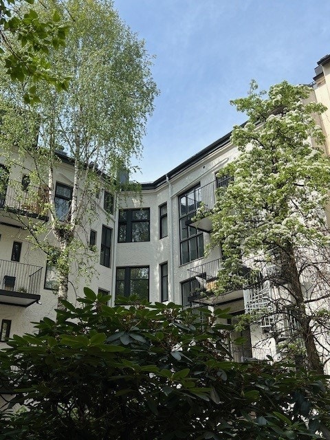 Selgers egne bilder fra sommeren. Galleribilde