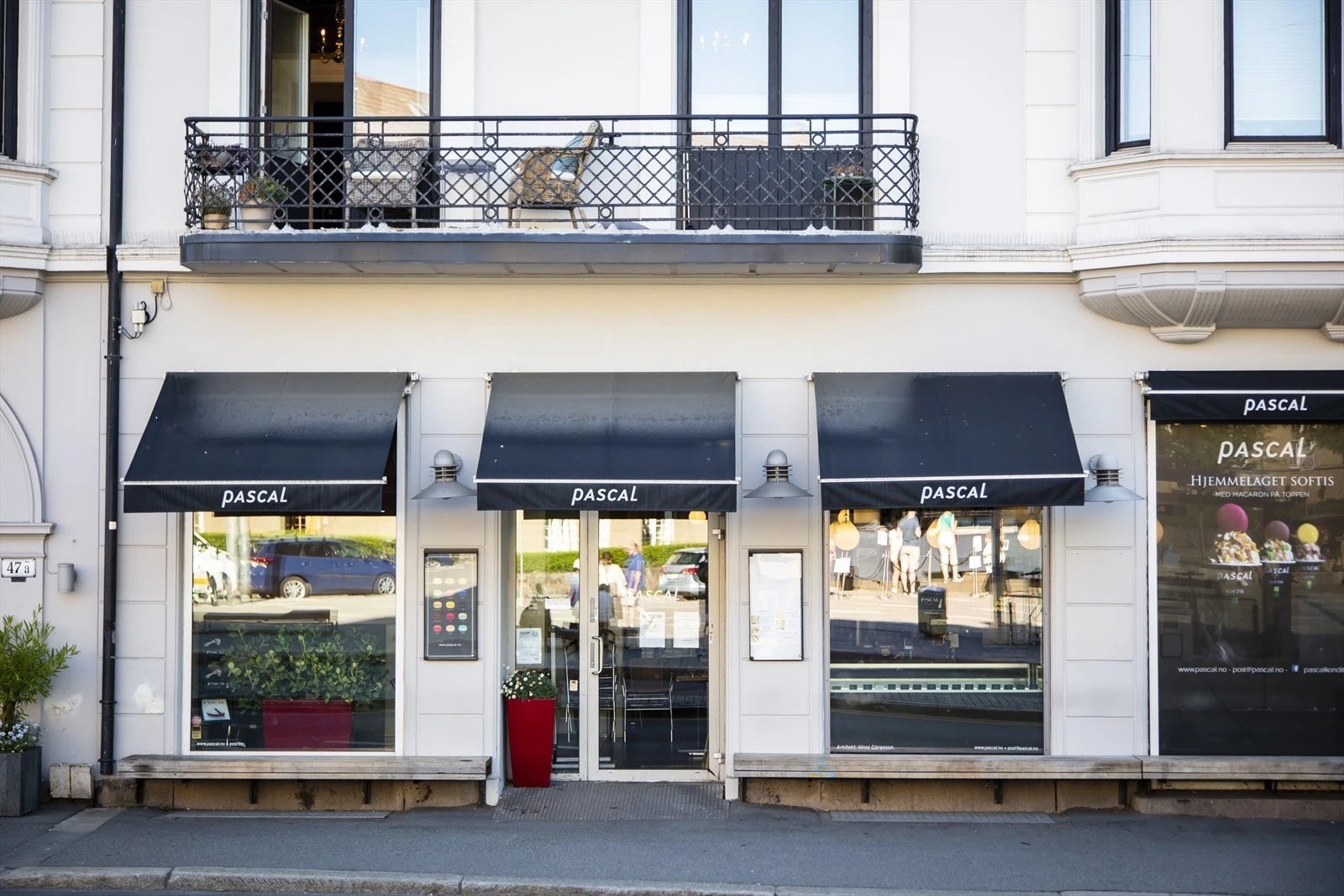 Pascal på St.Hanshaugen Galleribilde