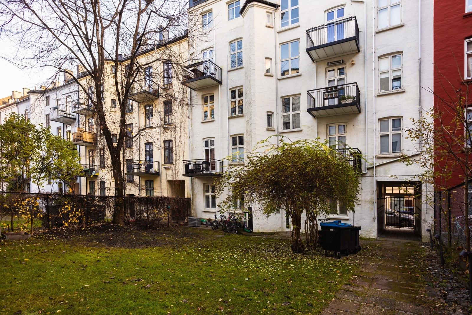 Koselig bakgård, som om sommeren virkelig er en oase. Galleribilde