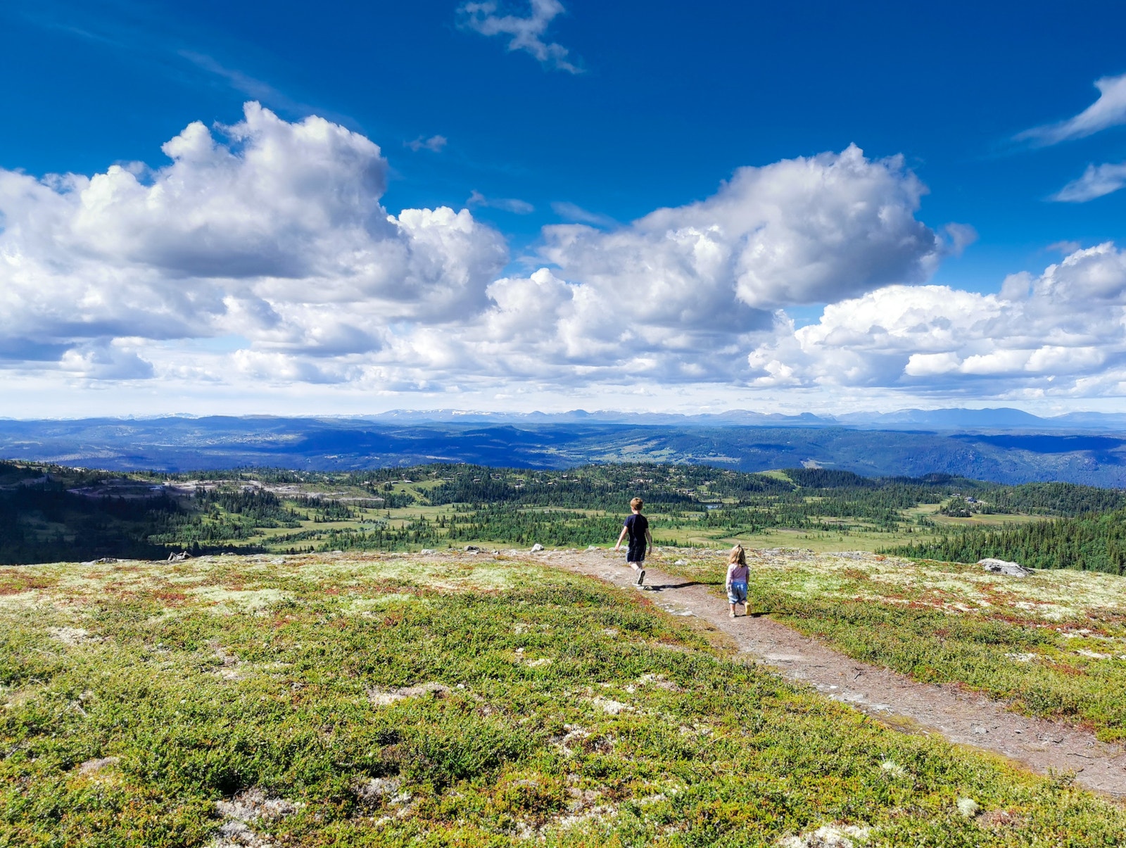 Flott turterreng på snaufjellet med flere toppturer innen rekkevidde Galleribilde