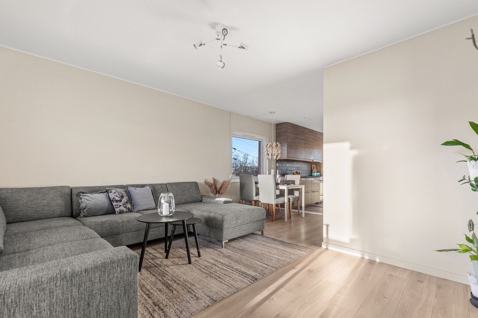 Det er store vindusflater som slipper inn rikelig med lys og som bidrar til å skape en luftig følelse i leiligheten Galleribilde